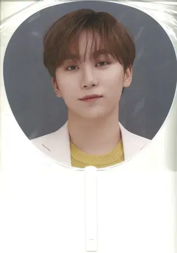 세븐틴 2021 HARE SEUNGKWAN IMAGE PICKET