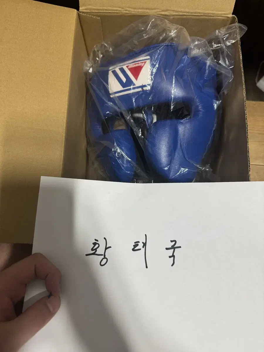 위닝 헤드기어