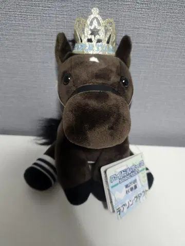 아이돌 호스 [데어링 택트/'20 가을 꽃상/삼관 Ver] (M 사이즈)