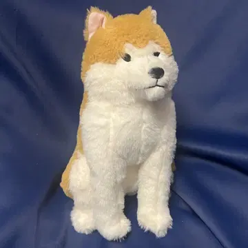 포근한 아키타견 하치베 오스카리 봉제 인형 미사용 새상품 아키타견 자립형
