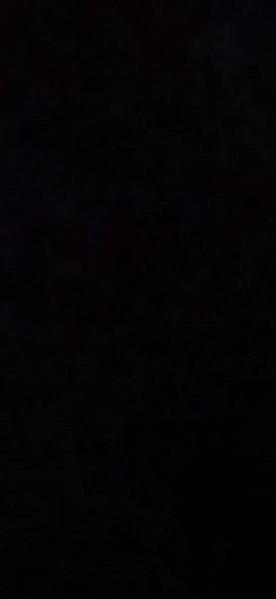Stray Kids Skzoo Puffin Mood Light Sealed