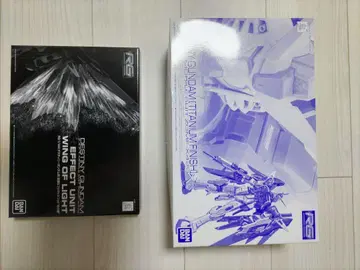 RG 데스티니 건담 티타늄 피니쉬 빛의 날개 이펙트 세트