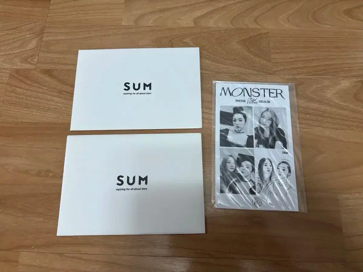 레드벨벳 아이린 생일 카드 아슬 네컷