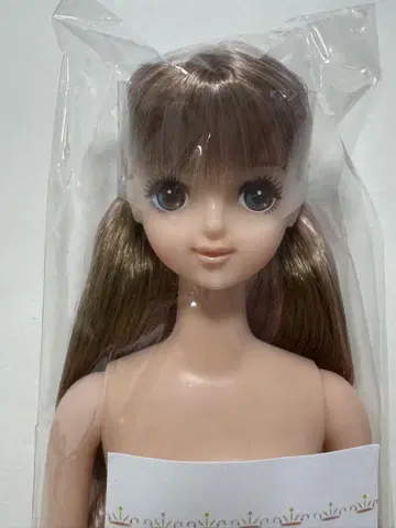 타마키 제니 프렌드 오타노시미 인형 리카짱 사야카 시온