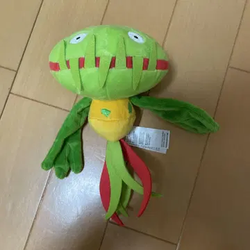 포켓몬스터 포켓몬 fit 마스키파 봉제 인형 포켓몬 센터
