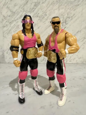 WWE WWF 하트 파운데이션 브렛 하트 프로레슬링 피규어