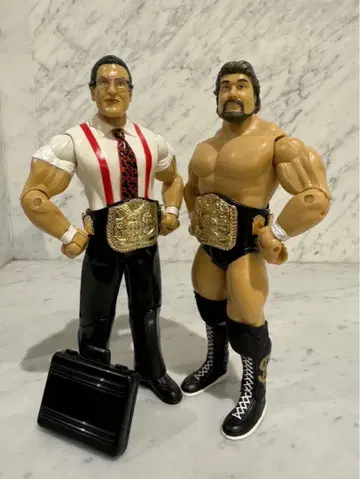 WWE WWF 테드 디비아스 IRS 프로레슬링 피규어