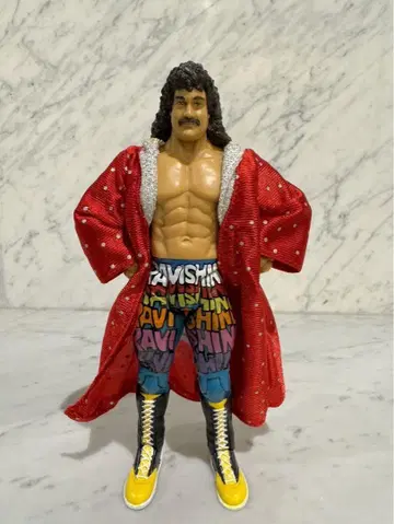 WWE WWF 릭 루드 프로레슬링 피규어