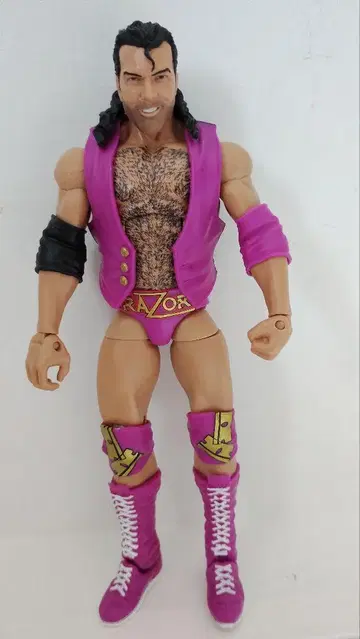 마텔 사의 WWE 프로레슬링 피규어 레이저 라몬