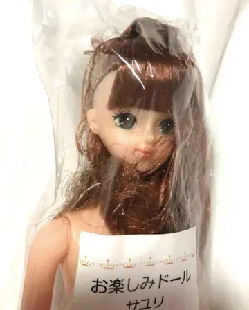 리카짱 캐슬 제니 프렌드 사유리