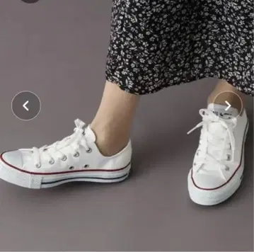 CONVERSE CANVAS ALL STAR OX 화이트 4.5