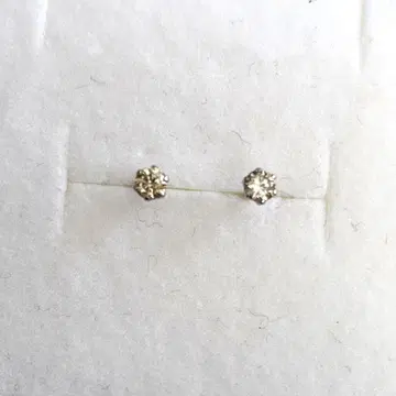 PT 다이아몬드 0.20ct 직결 귀걸이