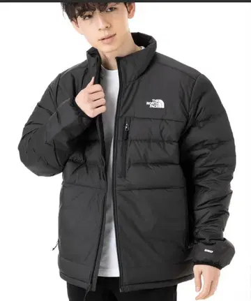 The norce face 다운