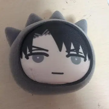 리바이