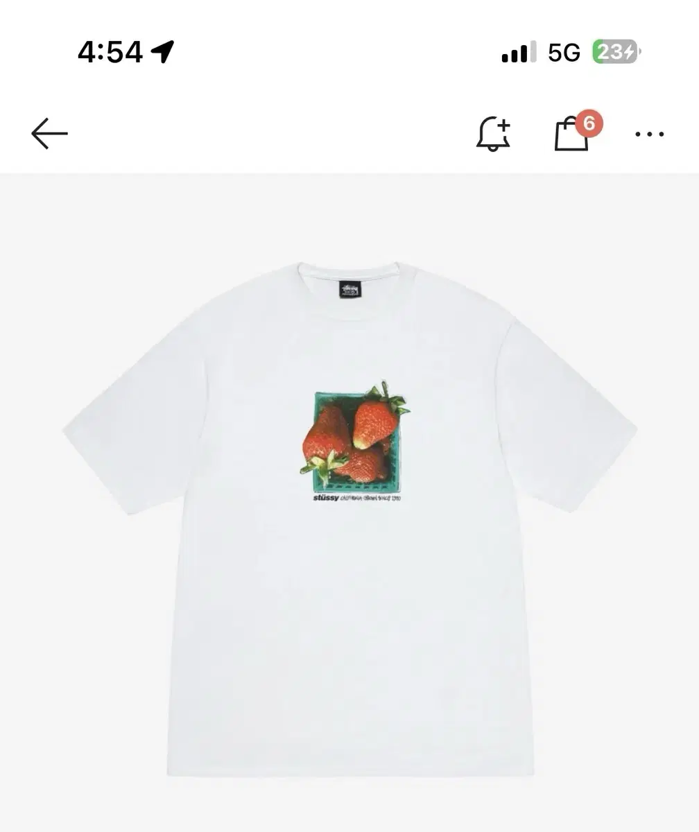 [새상품] 스투시 Berries T-Shirt White M