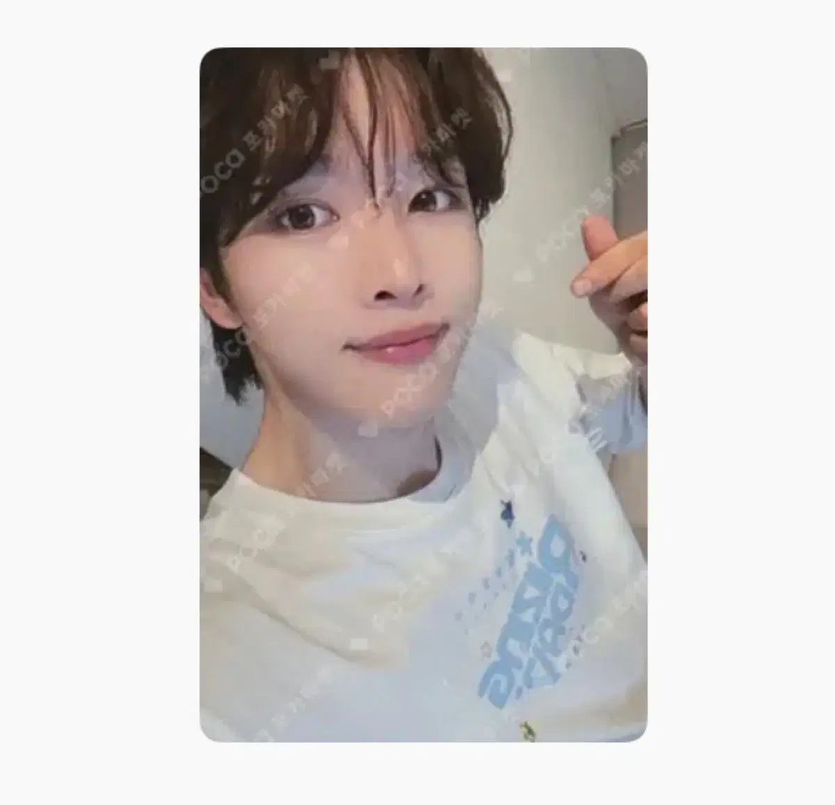 라이즈성찬포카 /성찬소희원빈은석앤톤쇼타로
