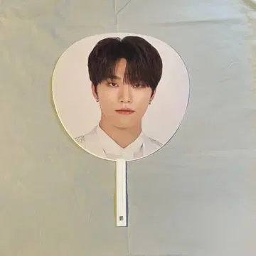 SEVENTEEN 디노 부채 JAPAN DOME TOUR 2020