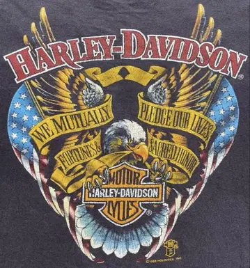 Harley Davidson Black HILLS 티셔츠 80s