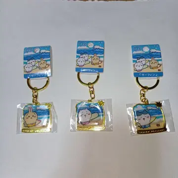 지역 특산품 치이카와 (먼작귀) 미야자키 한정판 서핑 키링