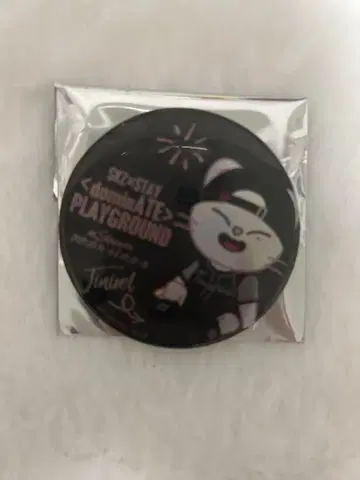straykids 스키즈 플레이그라운드 홀로그램 캔뱃지 지니 레트