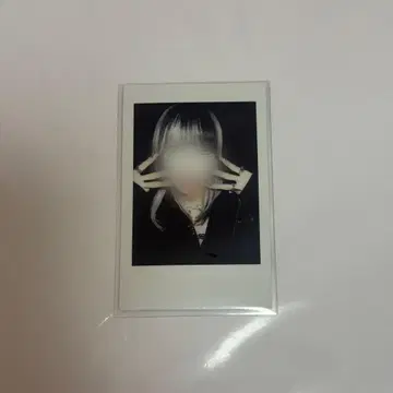 라부시쿠 하야테 폴라로이드
