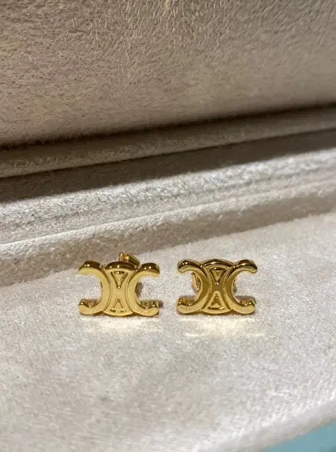 Seline earrings, new