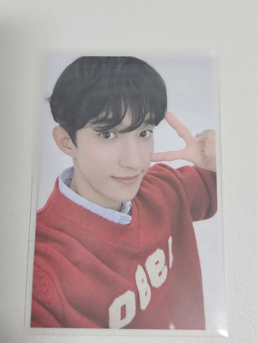 세븐틴 9주년 목걸이 포카 도겸