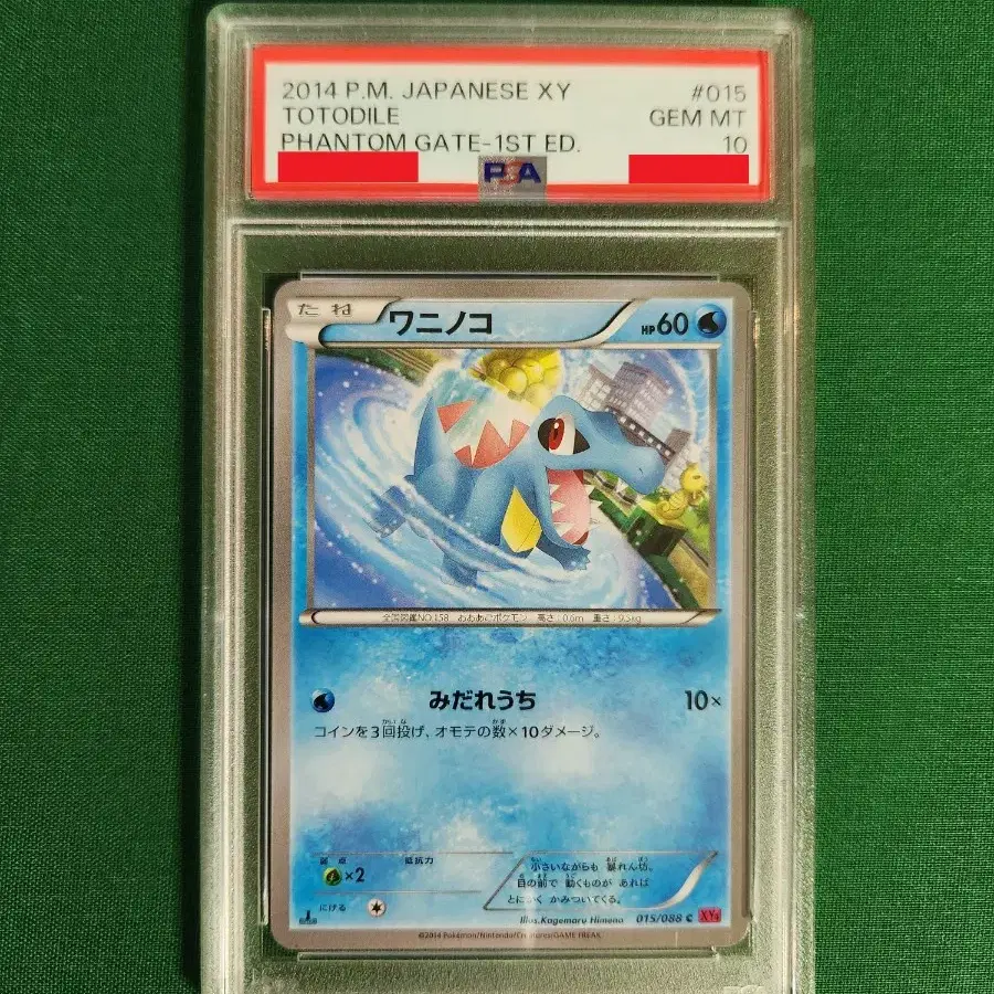 気高き思い　クラウディア　SC psa10 Shop Psa10 on Bunjang Global Site - No more Korean account!