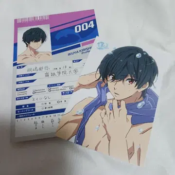 Free! 우키야 프로필 카드 엽서