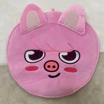 stray kids 삼나무 돼끼 부채 케이스