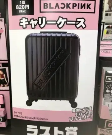 BLACKPINK 캐리어