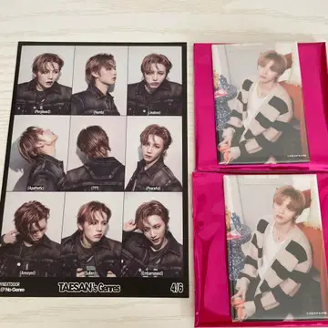 BOYNEXTDOOR 테산 NO GENRE 스티커 카페 캔뱃지