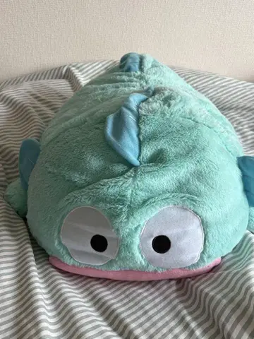 한교동 봉제 인형