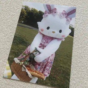 위시미멜 브로마이드 사인 포함