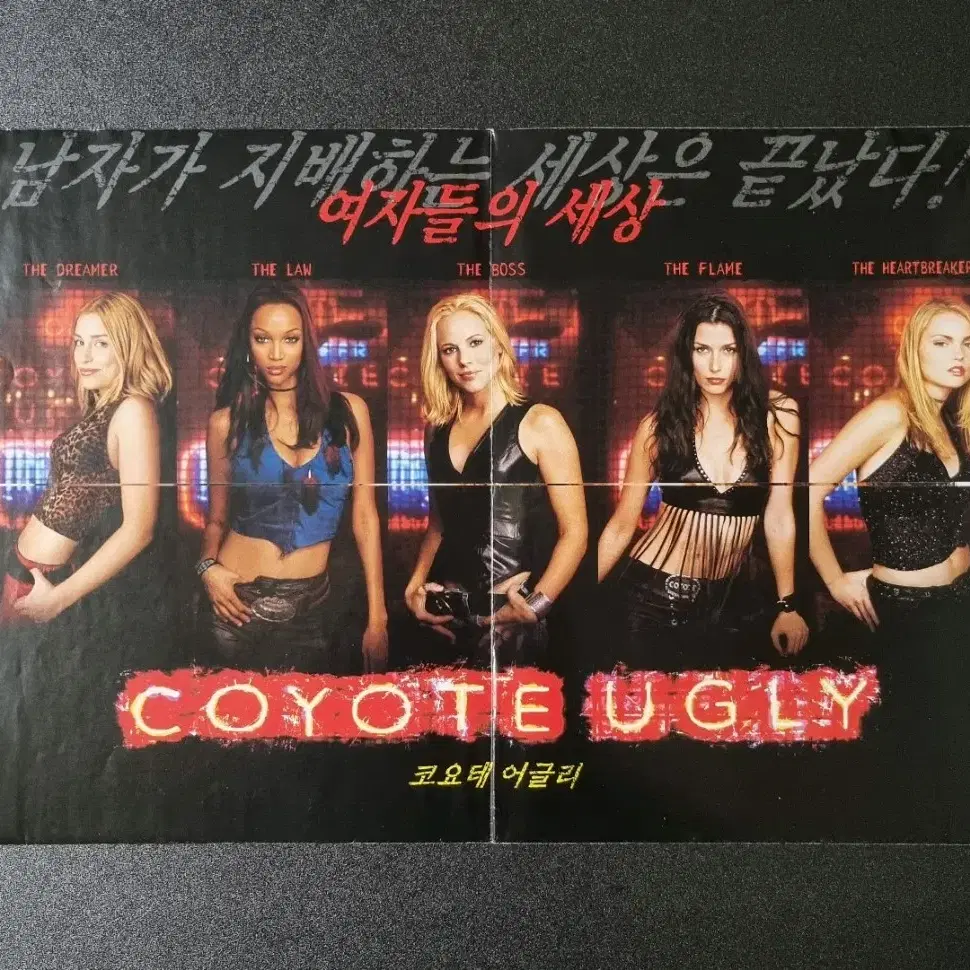 The 'Coyote Ugly' Megamix You Didn't Know You Needed, image size:970x970