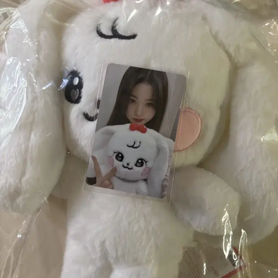 아이브 스쿨팝업 30cm 원영 체리 새상품 포카포함 팝니다 ive