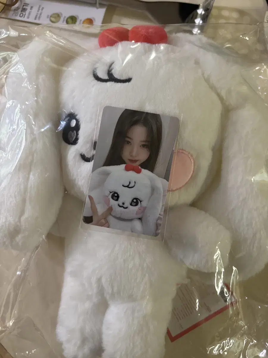 아이브 스쿨팝업 30cm 원영 체리 새상품 포카포함 팝니다 ive