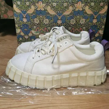 EYTYS Odessa 에이티스 오데사 통굽 스니커즈 26.5cm