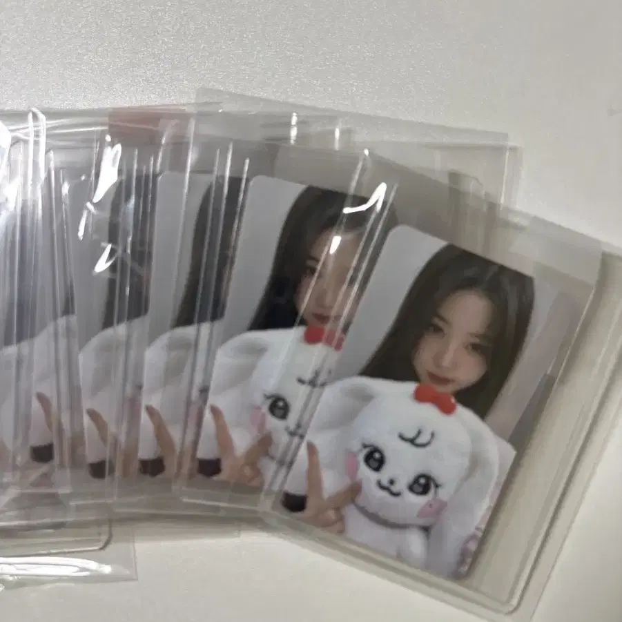아이브 미니브 원영 체리 30cm 포카 팝니다