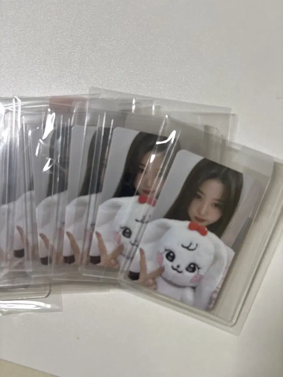 아이브 미니브 원영 체리 30cm 포카 팝니다