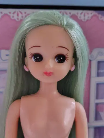리카짱 인형 캐슬 제