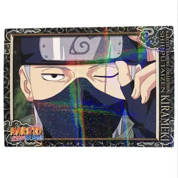 NARUTO 하타케 카카시 질풍 대백과 키라메키 No.004