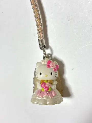 레어, 현지 키티, 스트랩, 네즈, 가루이자와, 웨딩