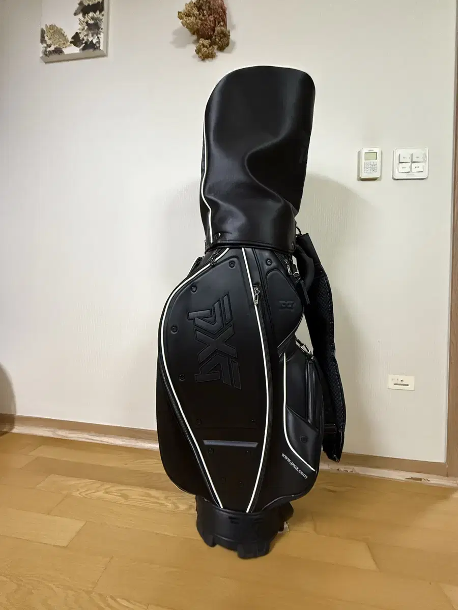 PXG 골프백