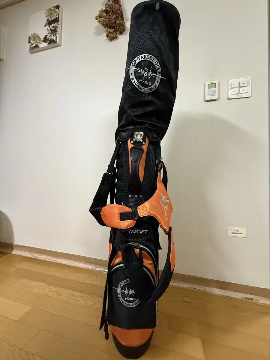 스탠드형 골프백