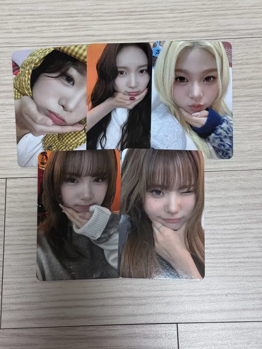 영파씨 팬콘 팬콘서트 엠디 입장 포카 양도