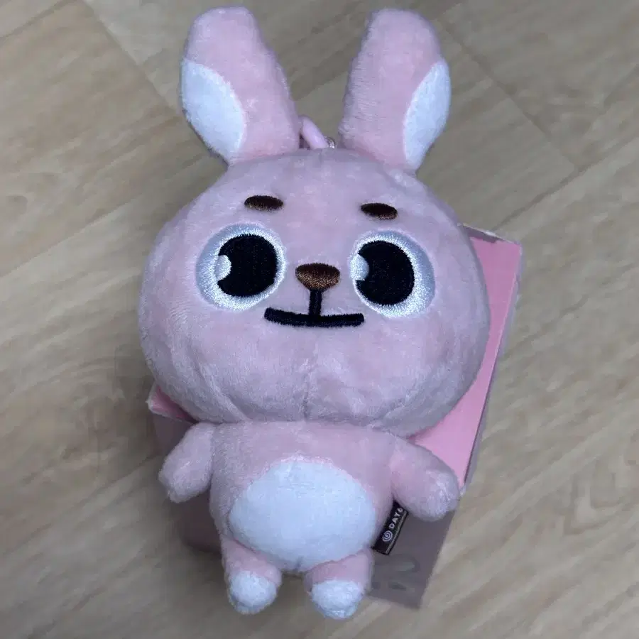DAY6 | 데이식스 DAY6 Denimals hand mirror Pil Ki Pil on