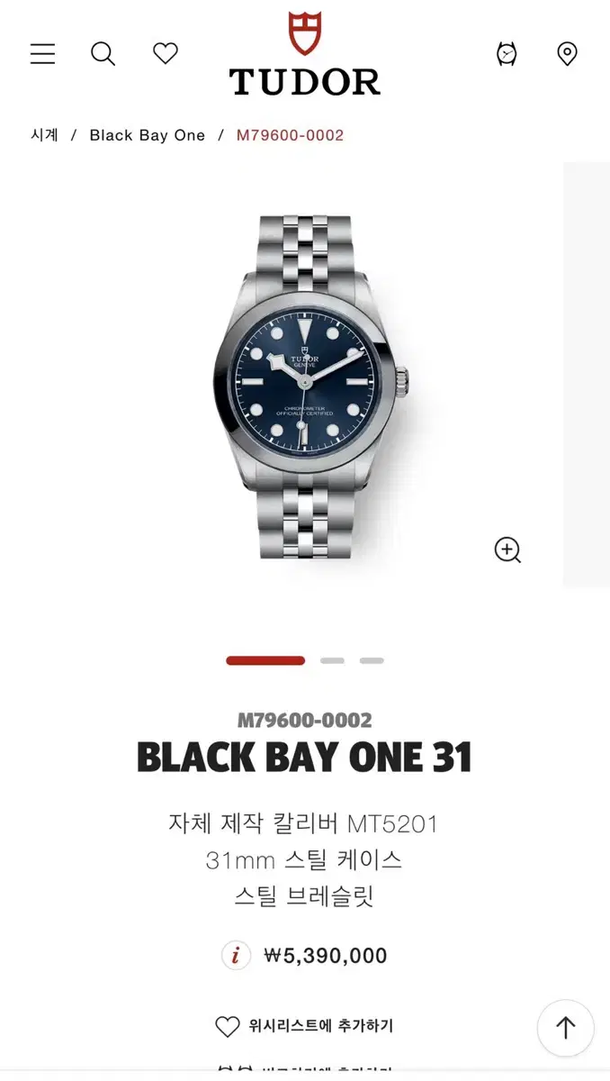 Tudor Black Bay One 31