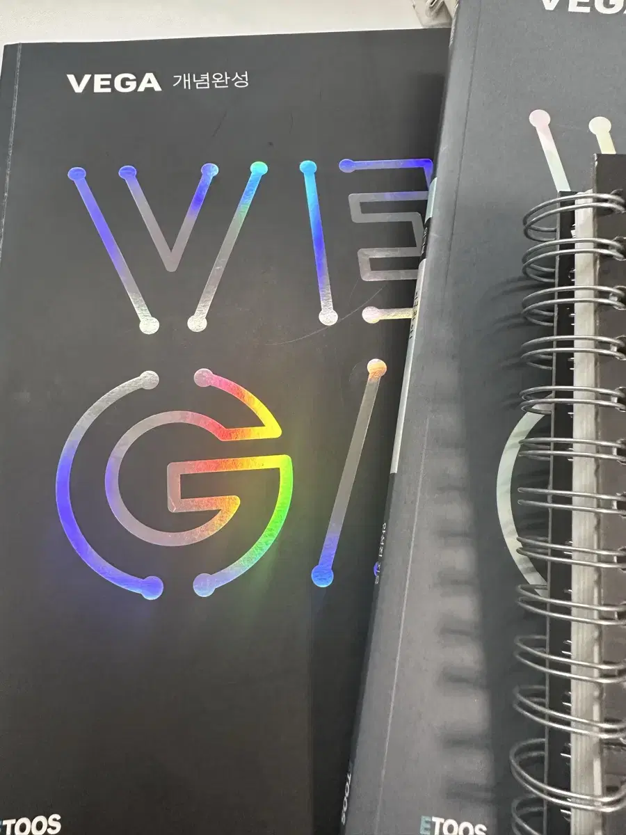 VEGA Earth Science