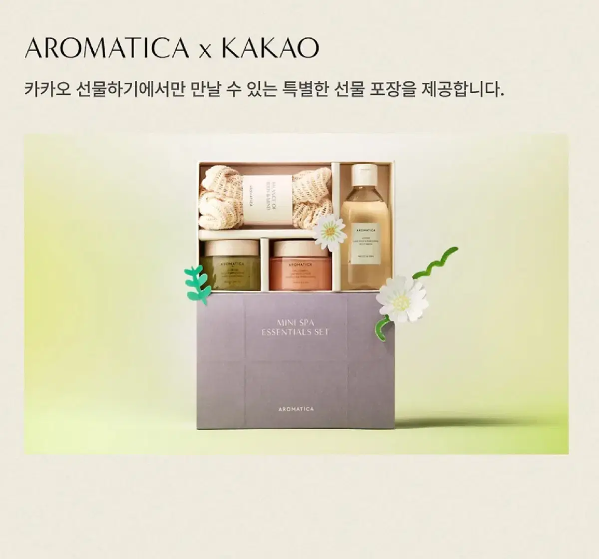 아로마티카 바디 스크럽 & 라벤더 바디 워시 3종 세트